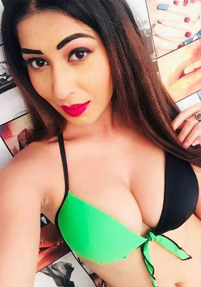 Amritsar Call Girl Service