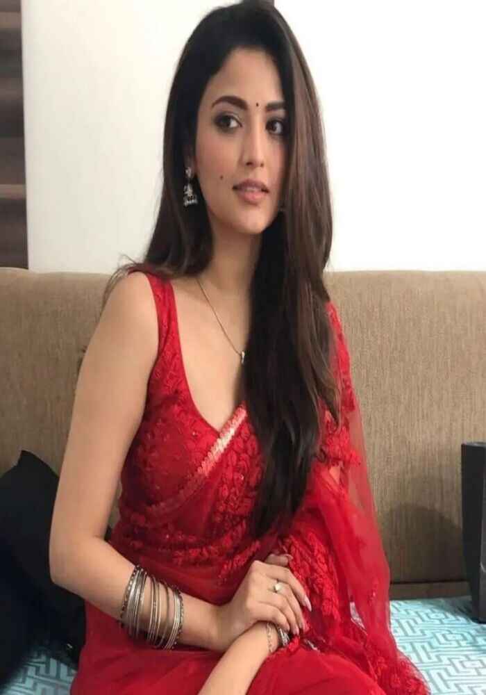 Amritsar Call Girl Service